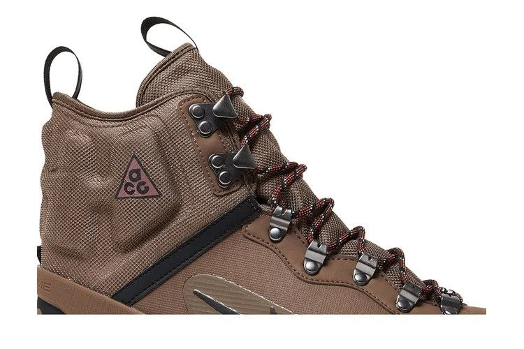 Кроссовки Nike ACG Zoom Gaiadome GORE-TEX 'Trails End Brown'