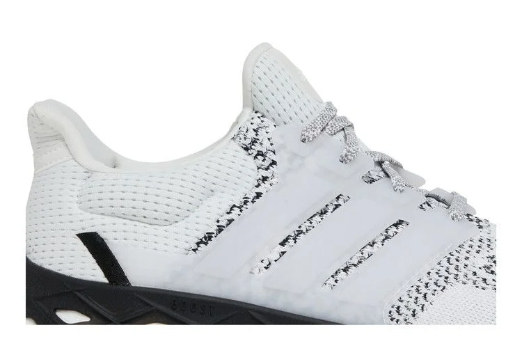 Кроссовки Adidas UltraBoost Web DNA 'White Black'