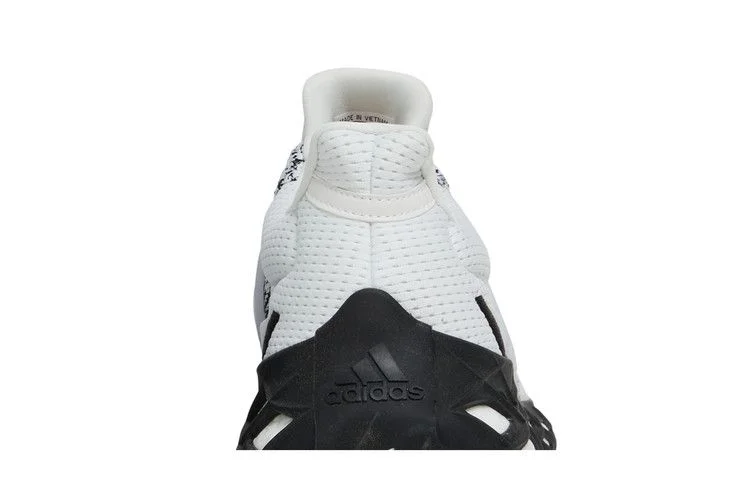 Кроссовки Adidas UltraBoost Web DNA 'White Black'