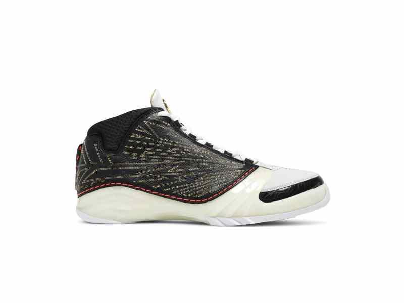 titan-x-air-jordan-23-retro-sp-10th-anniversary