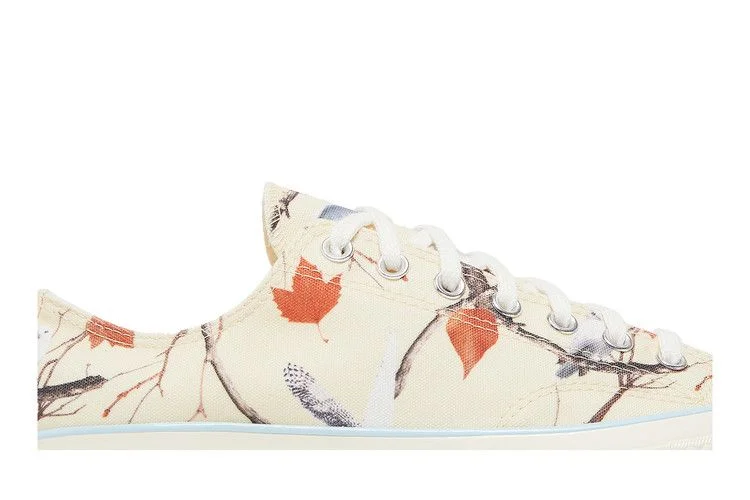 Кроссовки Golf Wang x Converse Chuck 70 Low 'Owl'