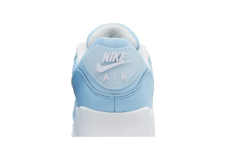Кроссовки Nike Air Max 90 'Blue Chill'
