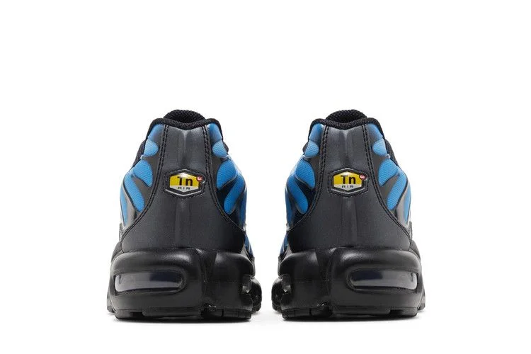 Кроссовки Nike Air Max Plus 'Neptune Blue'