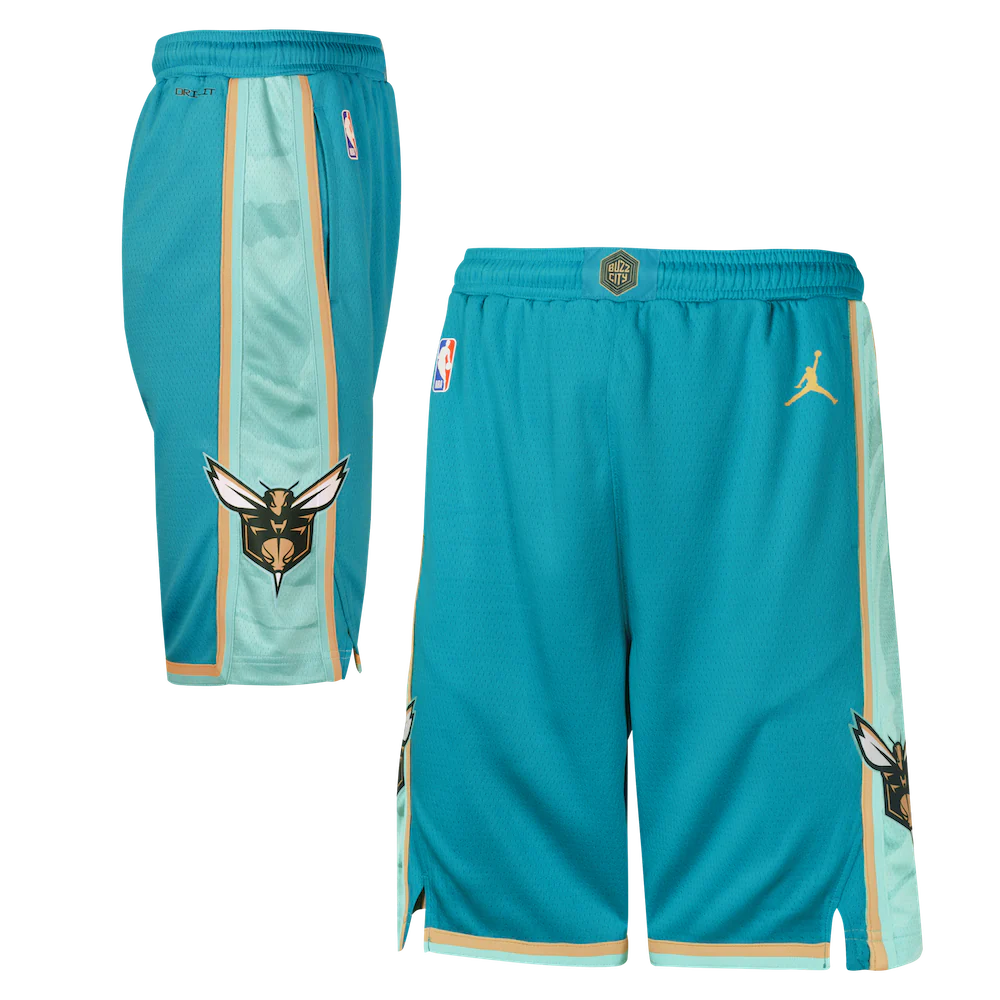 nike-charlotte-hornets-2024-city-edition-swingman-youth-nba-shorts