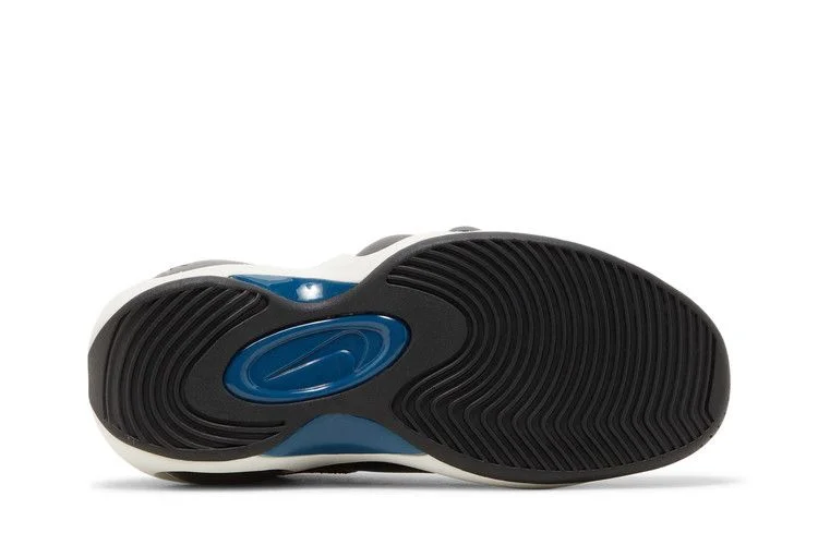 Кроссовки Nike Air Zoom Flight 95 'Black Valerian Blue'