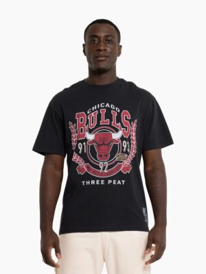 Mitchell-Ness-Chicago-Bulls-Vintage-Arch-T-Shirt-1