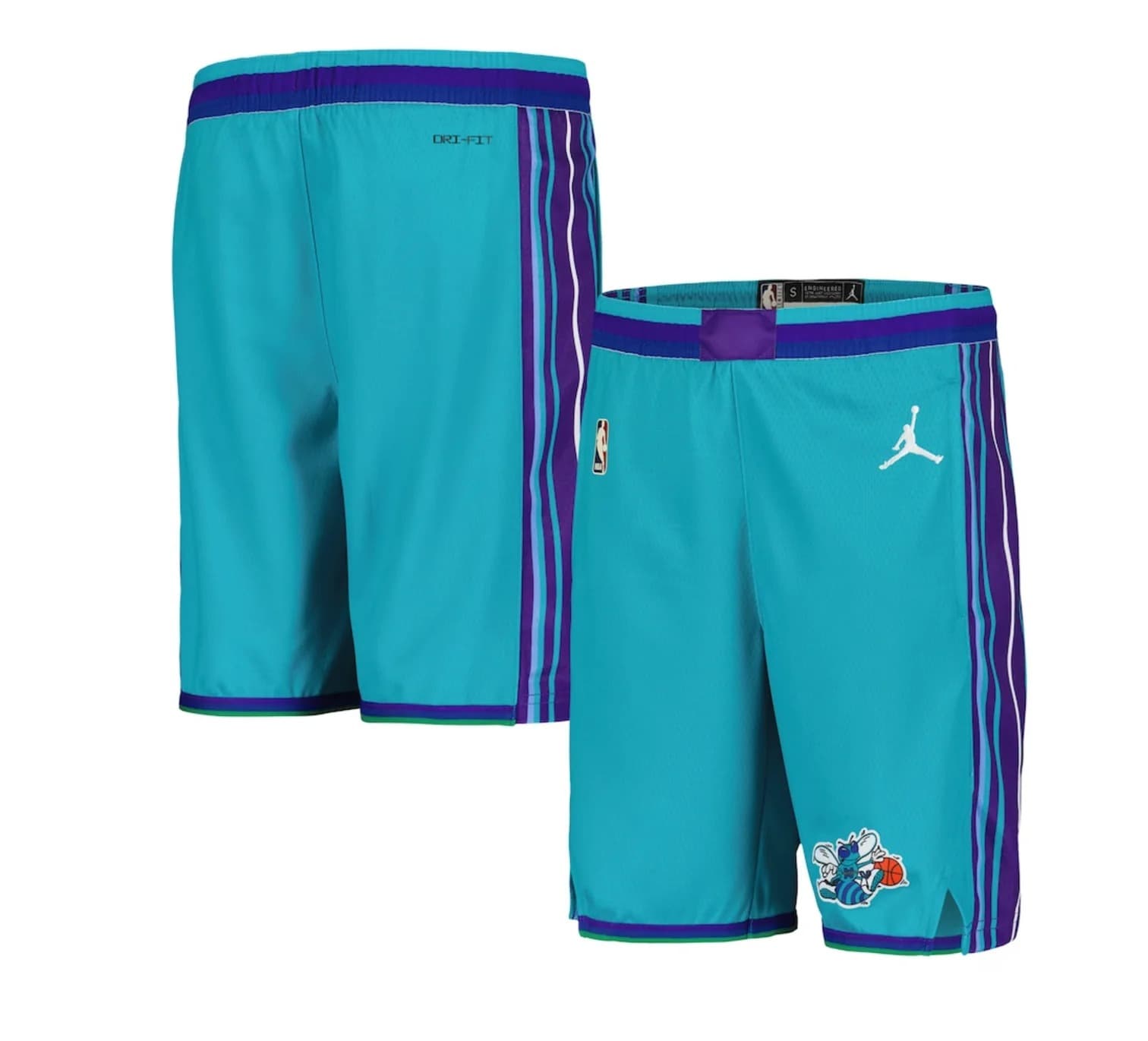 nike-charlotte-hornets-2024-classic-edition-swingman-youth-nba-shorts