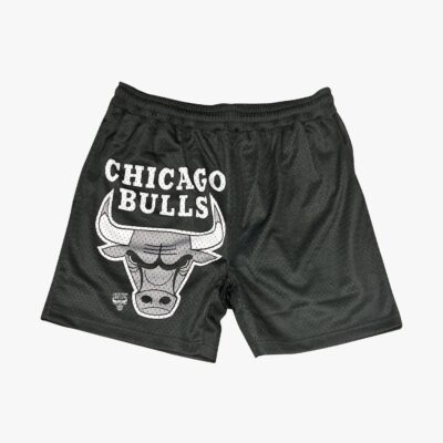 Chicago-Bulls-Apollo-Mesh-Team-Logo-NBA-Shorts-1