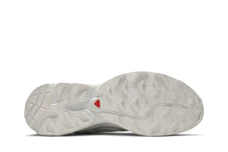 Кроссовки Salomon XT-6 Advanced 'White Lunar Rock'