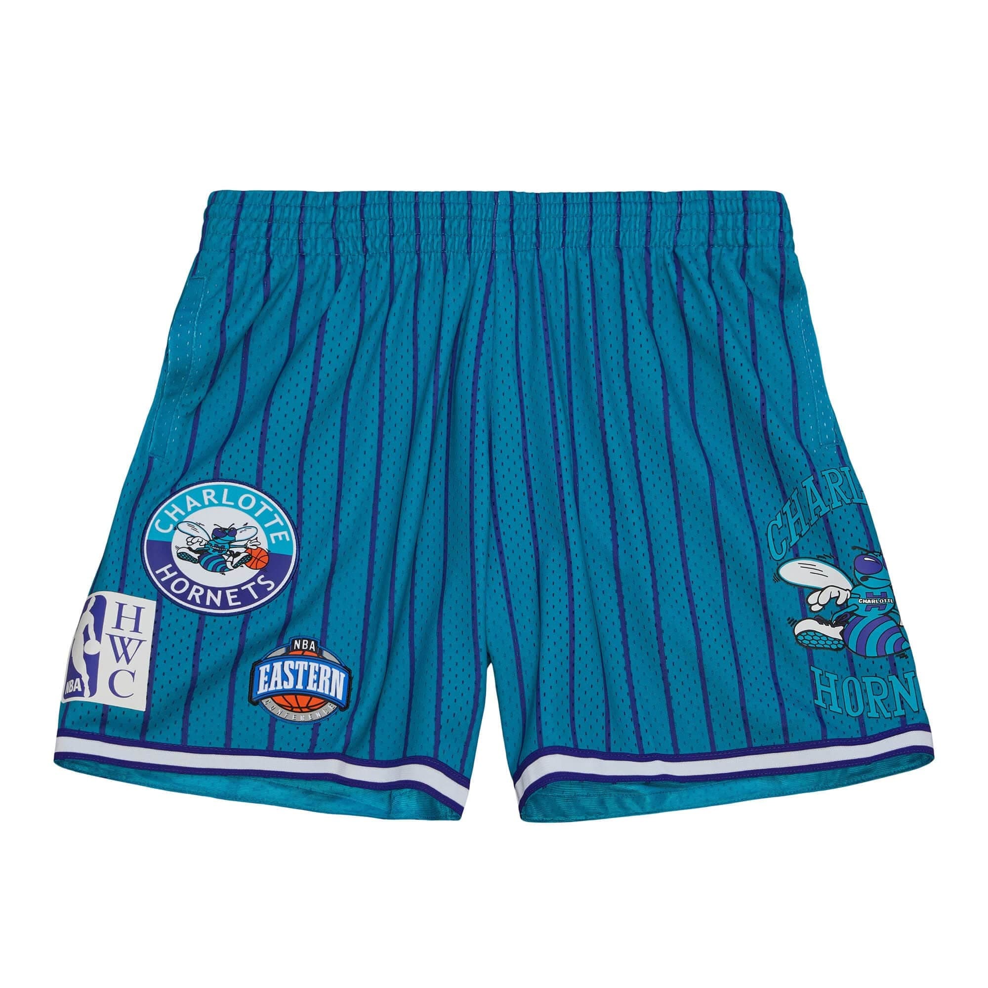 sportivnye-shorty-mitchell-ness-city-collection-mesh-charlotte-hornets-shorts