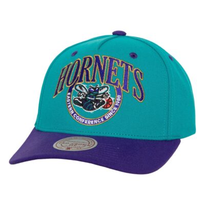 Mitchell-Ness-Crown-Jewels-Pro-Snapback-HWC-Charlotte-Hornets-Hat