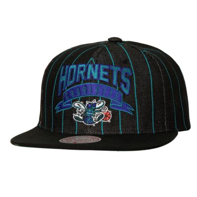 Mitchell-Ness-Dem-Stripes-Snapback-HWC-Charlotte-Hornets-Hat