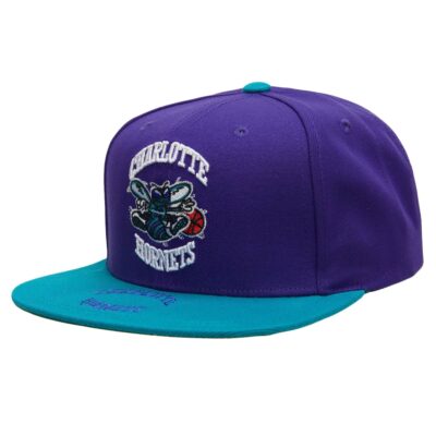 Mitchell-Ness-Logo-Bill-Snapback-HWC-Charlotte-Hornets-Hat