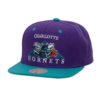 Mitchell-Ness-Monument-Snapback-HWC-Charlotte-Hornets-Hat