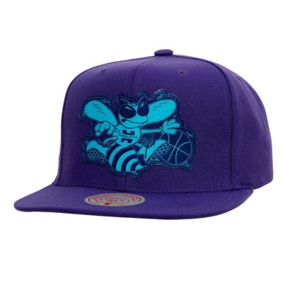 Mitchell-Ness-Now-You-See-Me-Snapback-HWC-Charlotte-Hornets-Hat