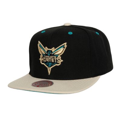 Mitchell-Ness-Pin-Drop-Snapback-Charlotte-Hornets-Hat