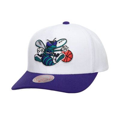 Mitchell-Ness-Team-2-Tone-2.0-Pro-Snapback-HWC-Charlotte-Hornets-Hat