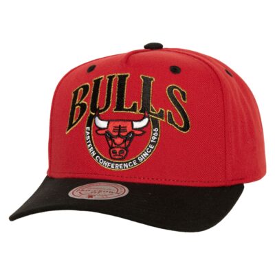 Mitchell-Ness-Crown-Jewels-Pro-Snapback-HWC-Chicago-Bulls-Hat