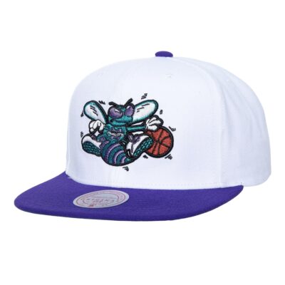 Mitchell-Ness-Logo-Shine-Snapback-HWC-Charlotte-Hornets-Hat