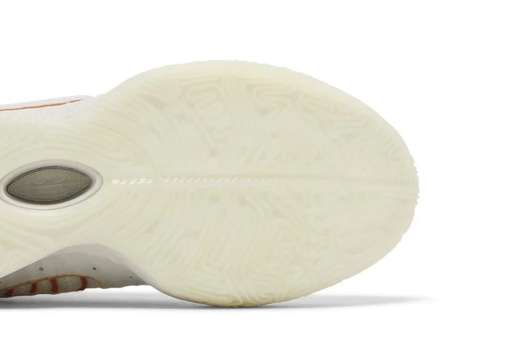 Кроссовки Nike LeBron 21 'Akoya'
