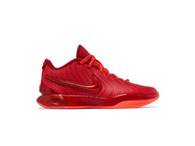 Nike LeBron 21 James Gang