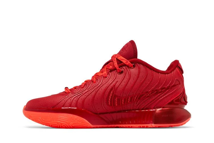 Кроссовки Nike LeBron 21 'James Gang'