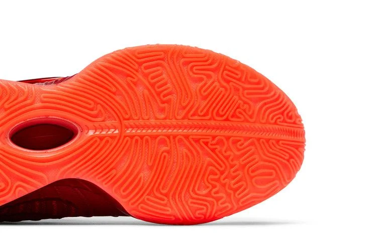 Кроссовки Nike LeBron 21 'James Gang'