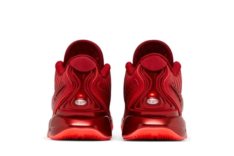 Кроссовки Nike LeBron 21 'James Gang'