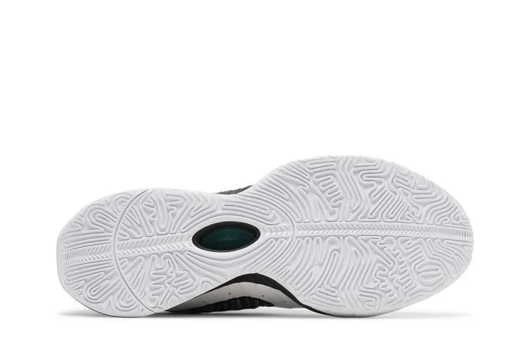 Кроссовки Nike LeBron 21 'Conchiolin'