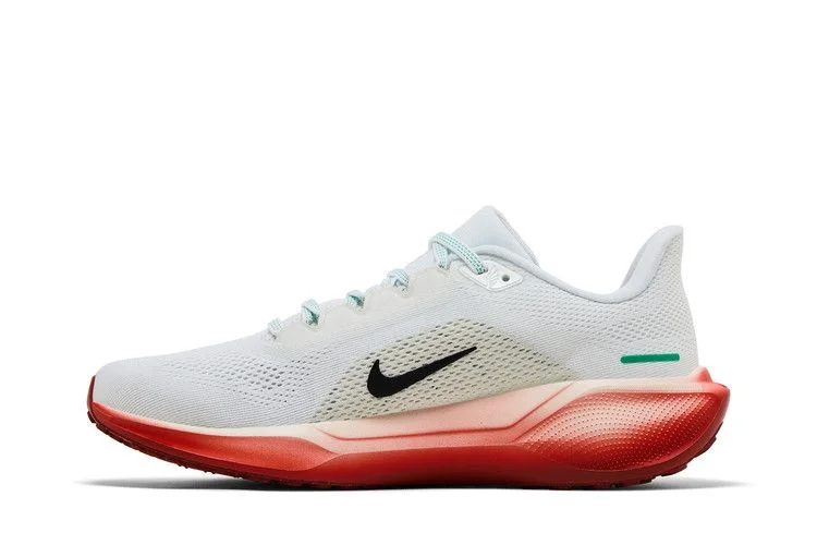 Кроссовки Eliud Kipchoge x Nike Air Zoom Pegasus 41 'It's Just The Start'