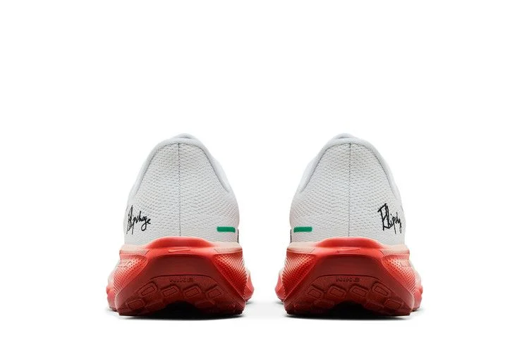 Кроссовки Eliud Kipchoge x Nike Air Zoom Pegasus 41 'It's Just The Start'