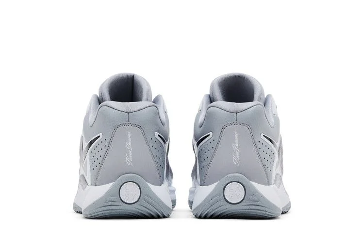 Кроссовки Nike KD 17 TB 'Wolf Grey'