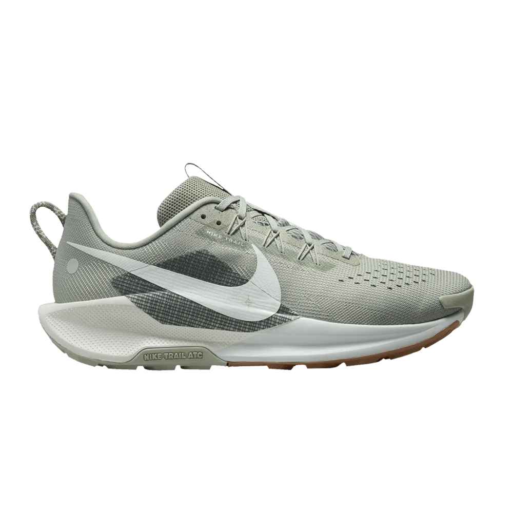 Кроссовки Nike Pegasus Trail 5 'Jade Horizon'