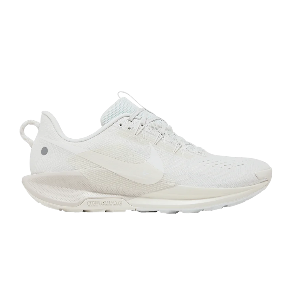 Кроссовки Nike Pegasus Trail 5 'Summit White Sail'