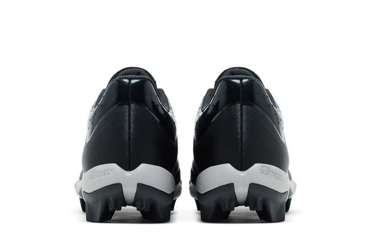 Кроссовки Nike Wmns Hyperdiamond 4 Keystone 'Black Mint'