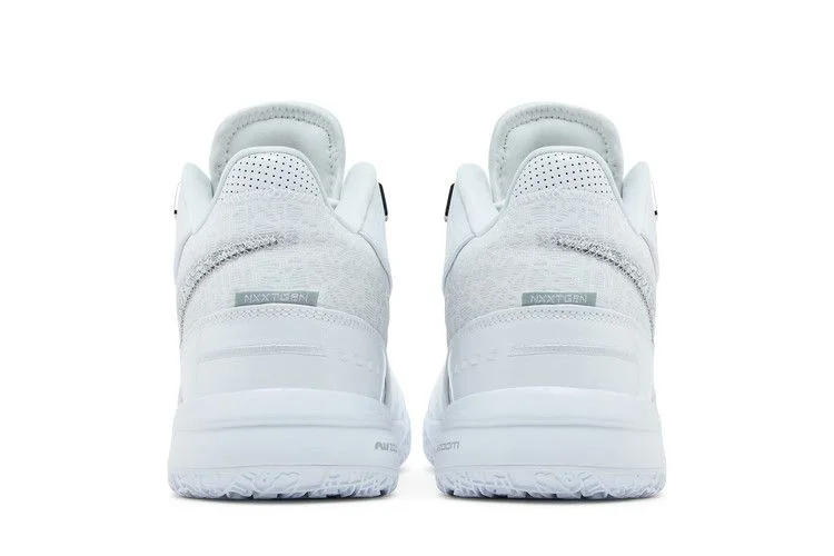 Кроссовки Nike Zoom LeBron NXXT Gen AMPD EP 'White Metallic Silver'