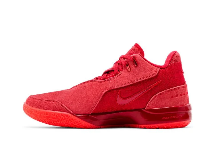 Кроссовки Nike Zoom LeBron NXXT Gen AMPD 'James Gang'