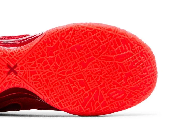 Кроссовки Nike Zoom LeBron NXXT Gen AMPD 'James Gang'