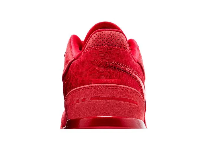 Кроссовки Nike Zoom LeBron NXXT Gen AMPD 'James Gang'