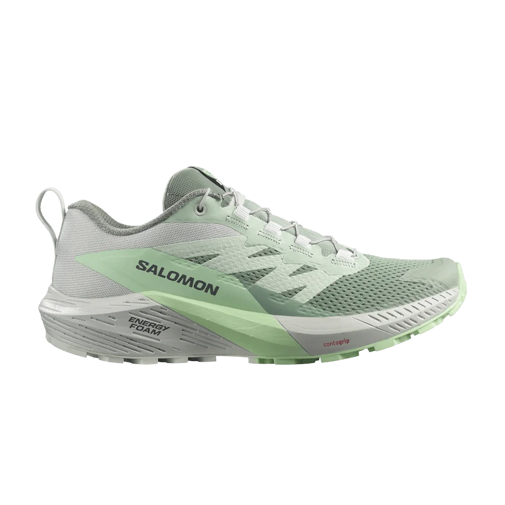 Кроссовки Salomon Wmns Sense Ride 5 'Lily Pad Metal'