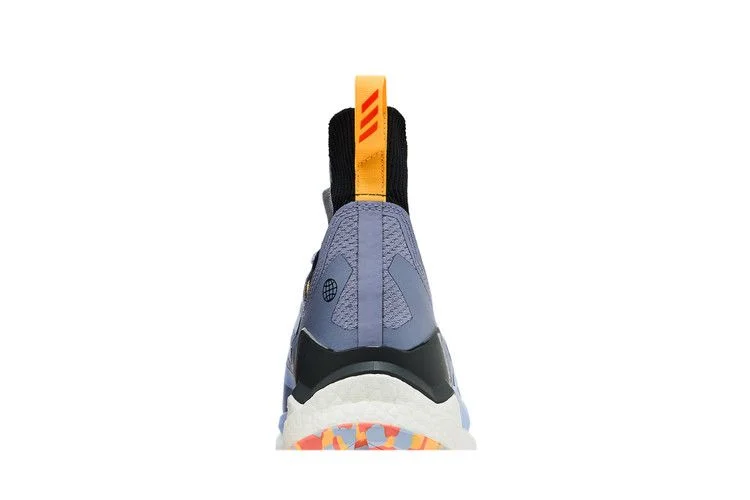 Кроссовки adidas Terrex Free Hiker 2.0 'Silver Violet Blue Dawn'
