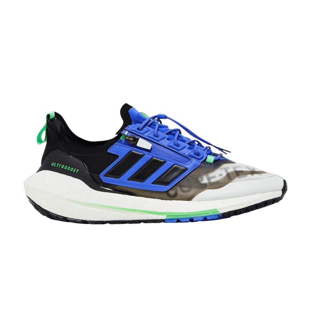 Кроссовки adidas UltraBoost 21 GORE-TEX 'White Sonic Ink'