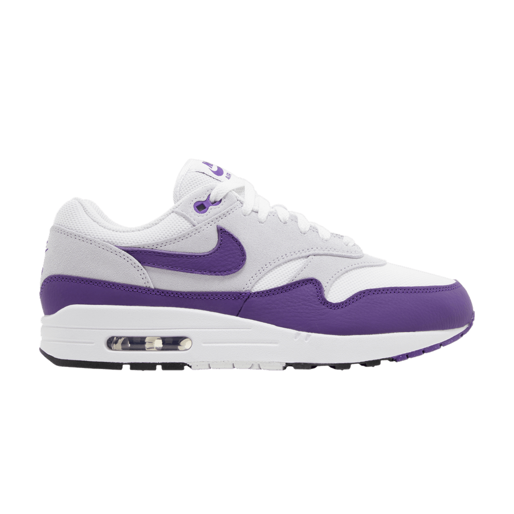 air-max-1-sc-field-purple-dz4549-101