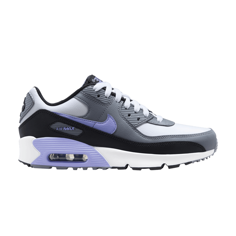 air-max-90-leather-gs-light-thistle-dv3607-001