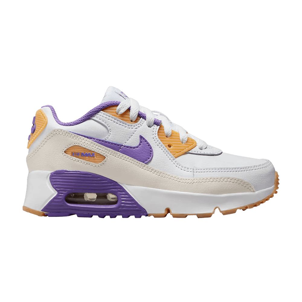 air-max-90-leather-ps-white-action-grape-dv3608-103