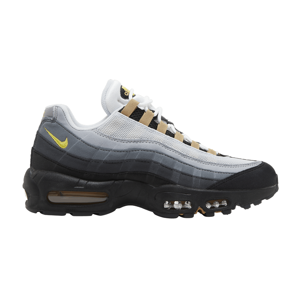 air-max-95-icons-dx4236-100