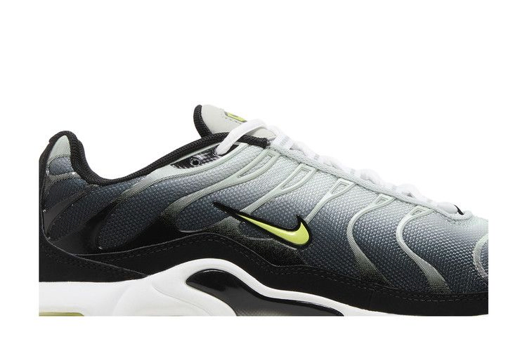 Кроссовки Nike Air Max Plus GS 'Black Bright Cactus'