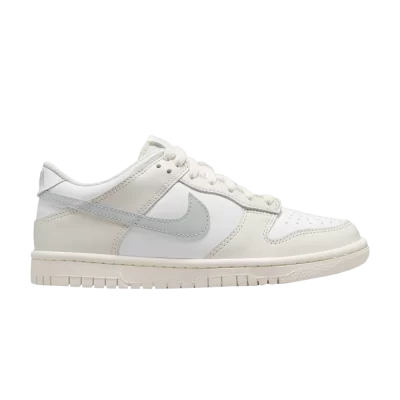 Nike Dunk Low GS 'Phantom Light Silver'