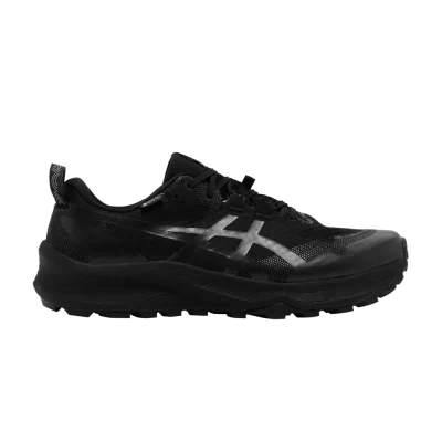 ASICS Gel Trabuco 12 GORE-TEX 'Black Graphite Grey'