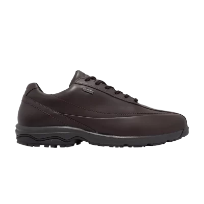 Mizuno LD40 6 Super Wide GORE-TEX 'Dark Brown'